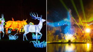 Lightopia is returning to Manchester even bigger and better with loads of epic new displays