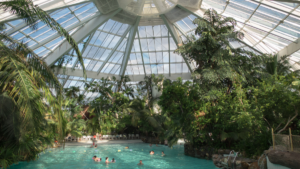 A Center Parcs scam managed to trick more than 17,000 people in a matter of hours