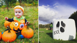 The best pumpkin picking spots near Manchester this Halloween