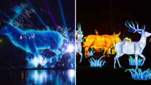 Lightopia extend dates of the light festival for Christmas and New Year