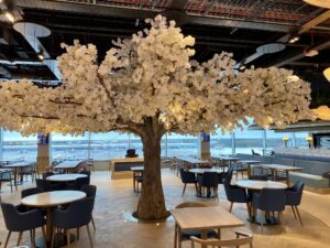 Take a first look inside the new San Carlo restaurant at Manchester Airport