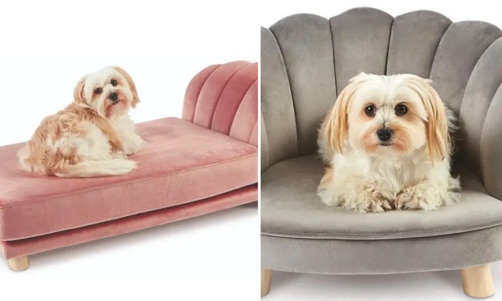 Aldi is selling luxury scalloped pet beds for your furry friends