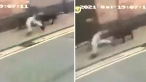 Moment dog thieves steal two black Labradors from outside M&S caught on CCTV