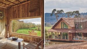 Take a look inside UK safari lodges where you spend the night with elephants and cheetahs