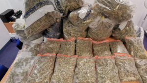 GMP seize huge amount of cannabis from restaurant after reports of ‘suspicious activity’
