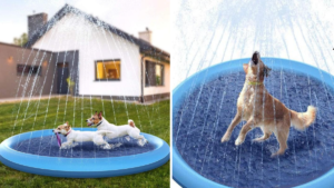You can now get a paddling pool with sprinklers to keep your dog cool for 50% off
