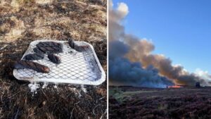 Co-op bans sale of disposable barbecues at stores near national parks