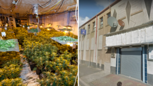 £1M cannabis farm discovered in famous Blackpool nightclub