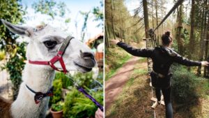 The best family-friendly things to do around Lancashire this summer