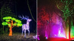 Lightopia is returning to Heaton Park this Christmas with a bigger and brighter ‘fantasy’ festival