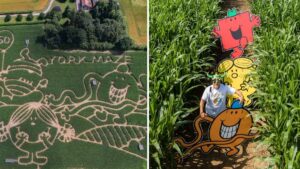 A huge Mr Men and Little Miss-themed maze is coming to the North this summer