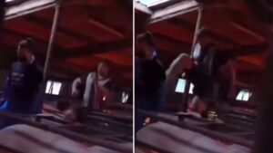Northern farmer fly-kicks vegan activist after he invaded his property