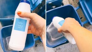 Woman hailed a ‘genius’ for her method to stop flies getting into wheelie bins