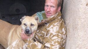 Animals rescued from Afghanistan to be rehomed across the UK in ‘next few weeks’