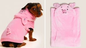 M&S is selling a Percy Pig coat for your dog and matching fleece hooded blanket for you