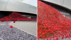 Tower of London poppies sculpture to be moved permanently to Imperial War Museum North