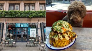 BrewDog’s new hotel is throwing a huge dog party with doggy ice cream and beer