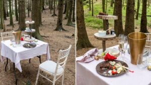 Mysterious abandoned tea-for-two found in Lake District woodland