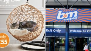 B&M is selling a hanging egg chair especially for your cat