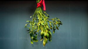 Minister warns Brits to avoid ‘snogging strangers under the mistletoe’ this Christmas