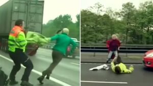 The chilling tale of the Swedish twins who ran into traffic on M6 before stabbing a man to death
