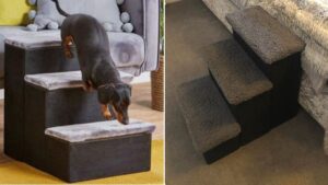 Aldi is selling pet stairs so small dogs can join you on the sofa or bed