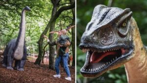 A hugely popular dinosaur jungle adventure land is opening near Manchester