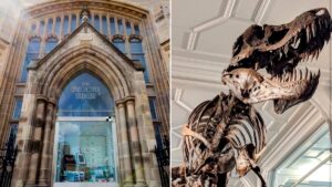 Manchester Museum reopening date confirmed following its huge £15m transformation