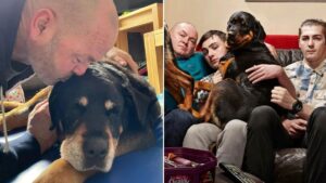 Gogglebox’s Malone family share heartbreaking update as beloved dog Lucy dies