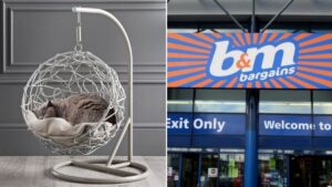 B&M is selling hanging egg chairs for your cat