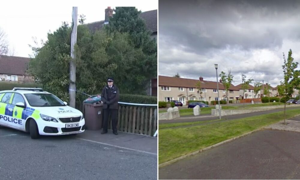 Seventeenmonthold baby girl killed by family dog in St Helens