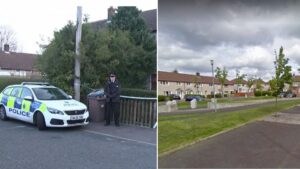 Seventeen-month-old baby killed by dog family bought only a week before
