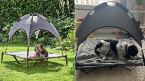 Asda is selling a dog bed gazebo just in time for summer