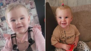Dog which killed toddler Bella-Rae Birch was not banned breed, tests confirm