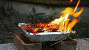 MPs call for disposable barbecues to be banned ahead of summer