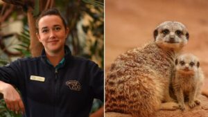 Chester Zoo is hosting a recruitment open day with more than 100 jobs up for grabs