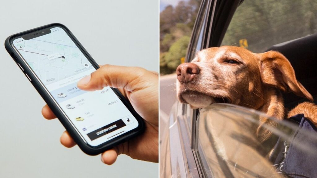 Uber launches new taxi service for passengers and their pets