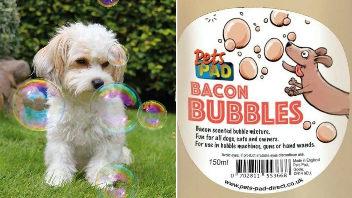 You can now get bacon scented bubbles for your dog