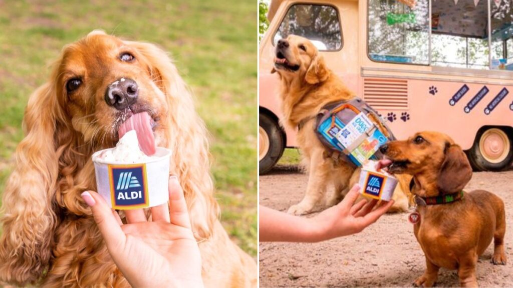Aldi launches dog ice cream just in time for summer