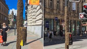 Massive swarm of bees spotted in Manchester city centre again
