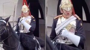Tourist vows they’ll ‘never return to London’ after being screamed at by Queen’s Guard