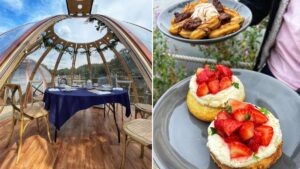 Heaton Park’s lakeside dining domes unveil evening picnic sessions for the summer