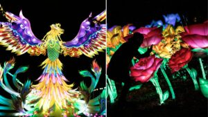 Lightopia is returning to Heaton Park this Christmas with a brand new immersive light festival