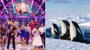 BBC confirms TV schedule changes including Strictly, Celebrity Masterchef and Frozen Planet II
