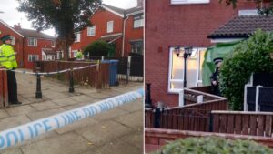 Man arrested after woman killed by ‘five dogs’ in Liverpool