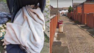RSPCA launch appeal after American bulldog found dead in pushchair in Bolton