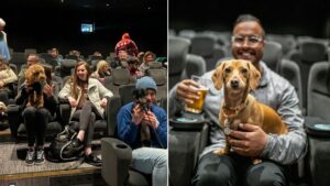 A special Halloween-themed dog cinema is coming to Manchester