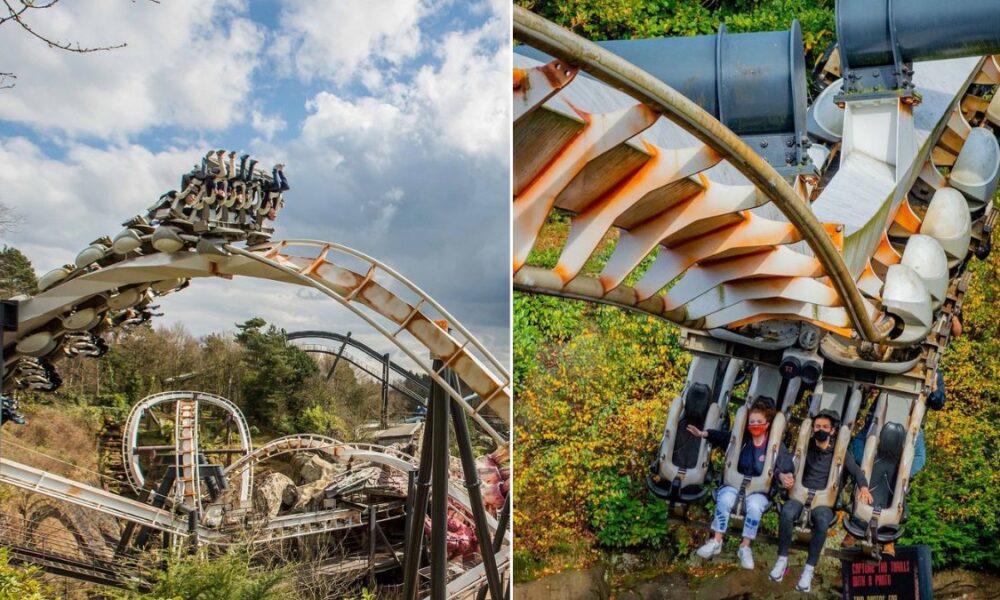 Alton Towers Looking For Test Specimens To Ride Nemesis alton-towers-looking-for-test-specimens-to-ride-nemesis