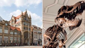 Manchester Museum to reopen soon following huge £15m transformation