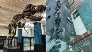 Manchester Museum saw HUGE number of visitors on reopening week